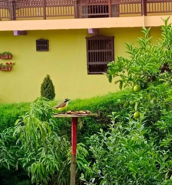 Bird House - Apartament Jardín Exterior foto